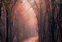 [英超]水晶宫主场战胜伊普斯维奇.