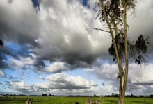 伊利亚拉门迪:效力皇马是我生涯的重要一步;皇社很难被击败.:江南体育