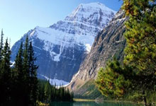 中国短道队在低谷中期待重生.:江南体育